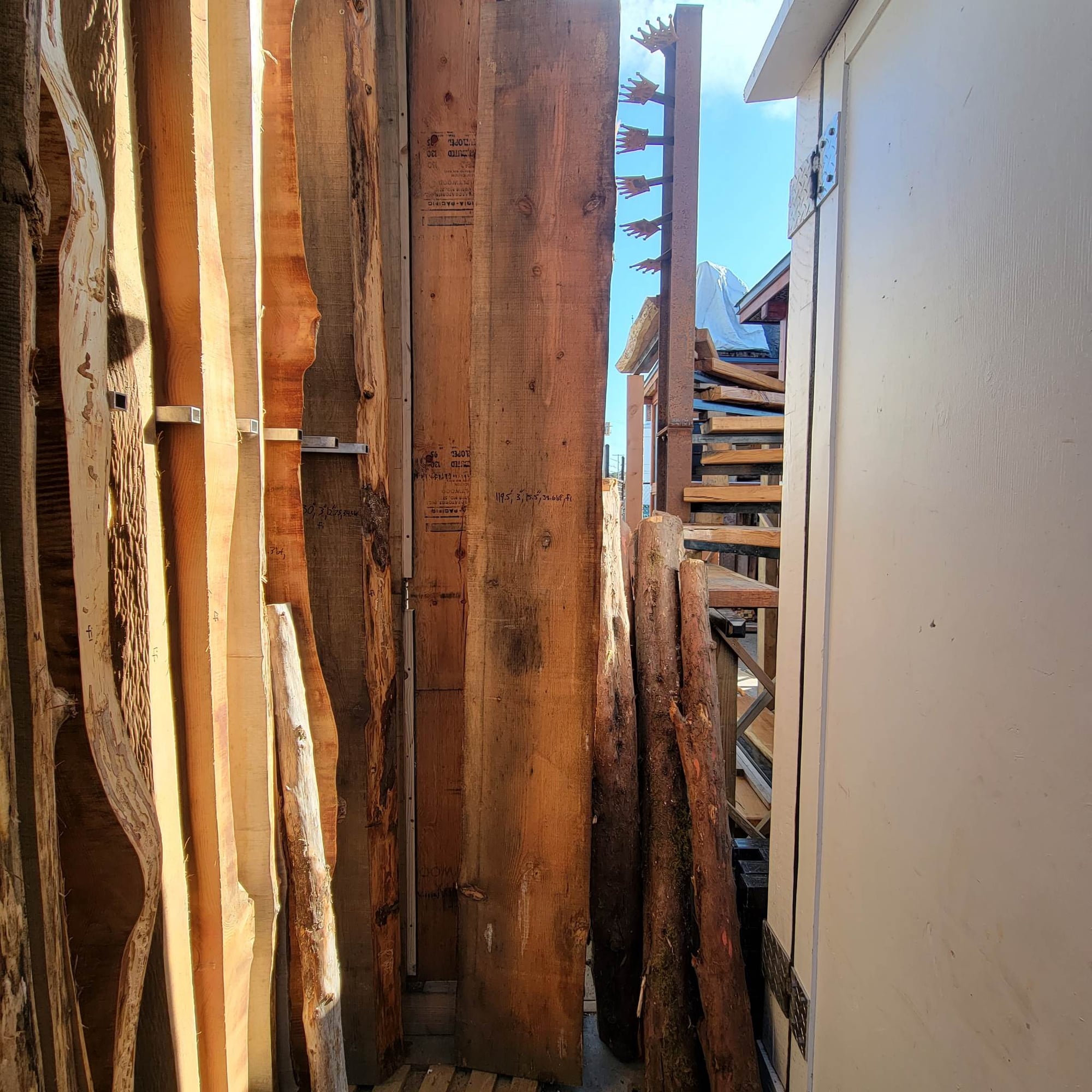 Douglas Fir